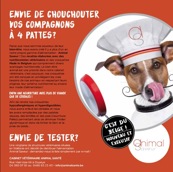 Publicité Kaktus