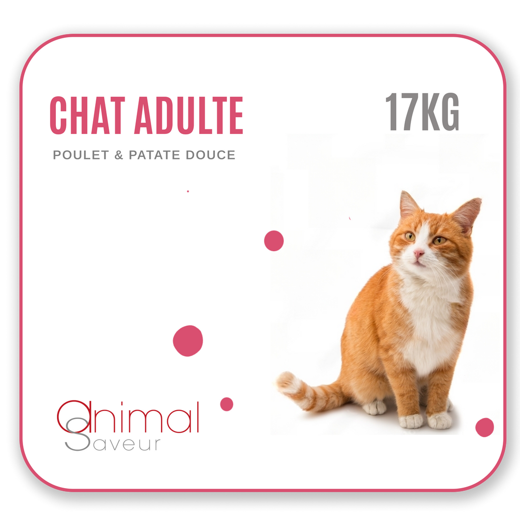 Croquettes Vétérinaires - Chat Adulte 17 kg - Poulet / Patate Douce