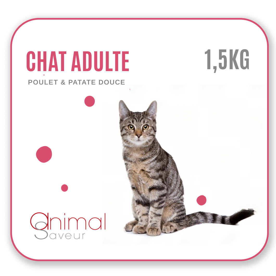 Croquettes Vétérinaires - Chat Adulte 1,5 kg - Poulet / Patate Douce