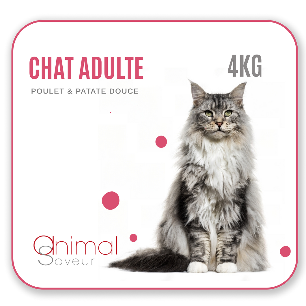 Croquettes Vétérinaires - Chat Adulte 4 kg - Poulet / Patate Douce