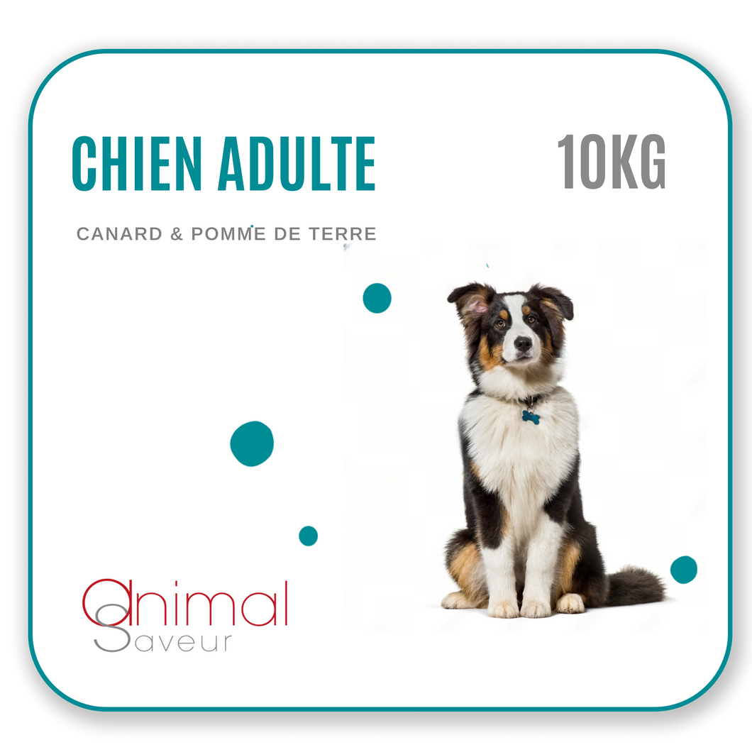 Croquettes vétérinaires - Chien Adulte 10 kg - Canard / Pommes de Terre