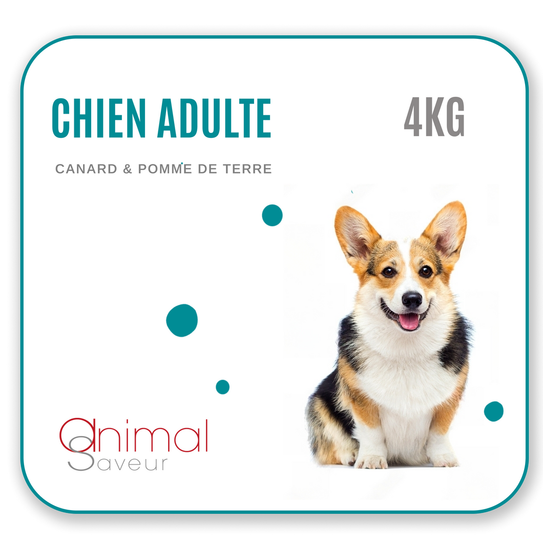 Croquettes Vétérinaires - Chien Adulte 4 kg - Canard / Pommes de Terre