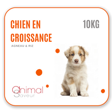 Charger l&#39;image dans la galerie, Croquettes Vétérinaires - Chien en Croissance 10 kg- Agneau / Riz
