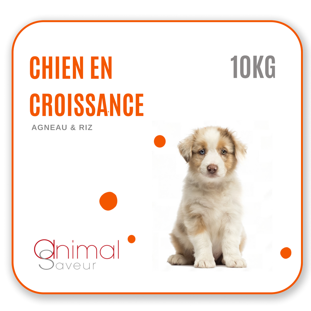 Croquettes Vétérinaires - Chien en Croissance 10 kg- Agneau / Riz