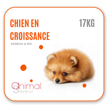 Afbeelding in Gallery-weergave laden, Dierenarts Brokken - Opgroeiende hond 17 kg - Lam / Rijst
