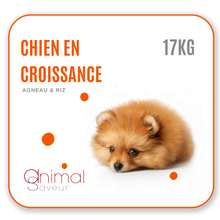 Charger l&#39;image dans la galerie, Croquettes Vétérinaires - Chien en Croissance 17 kg- Agneau / Riz
