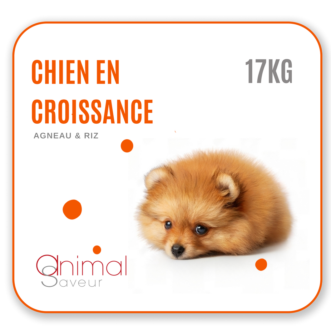 Croquettes Vétérinaires - Chien en Croissance 17 kg- Agneau / Riz