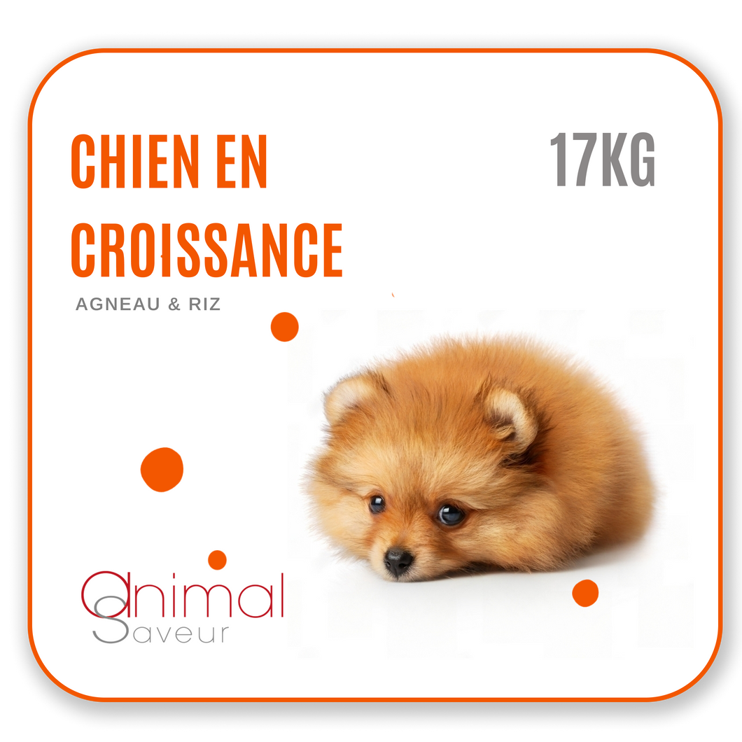 Dierenarts Brokken - Opgroeiende hond 17 kg - Lam / Rijst