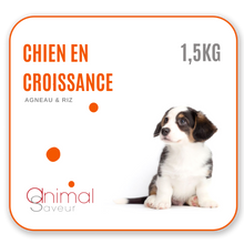 Charger l&#39;image dans la galerie, Croquettes Vétérinaires - Chien en Croissance 1,5 kg - Agneau / Riz
