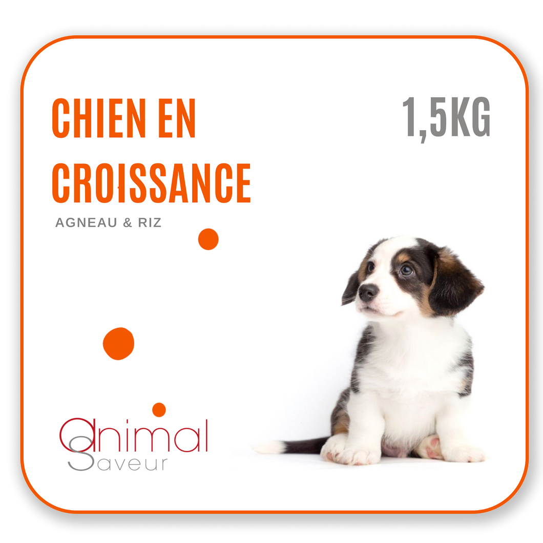 Croquettes Vétérinaires - Chien en Croissance 1,5 kg - Agneau / Riz
