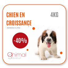 Afbeelding in Gallery-weergave laden, Dierenarts Brokken - Opgroeiende hond 4 kg - Lam / Rijst
