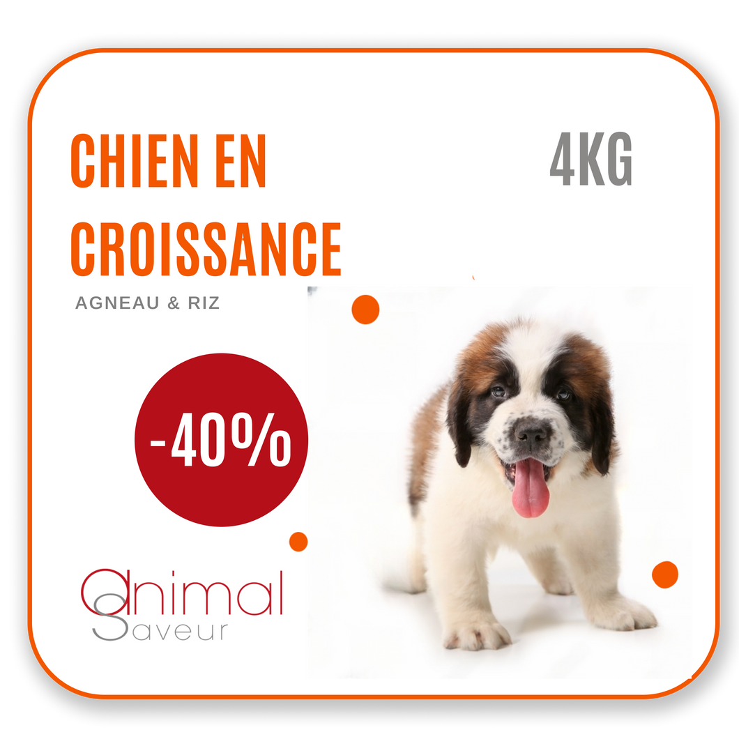 Croquettes Vétérinaires - Chien en Croissance 4 kg- Agneau / Riz | Promo -40%