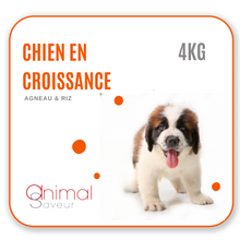 Afbeelding in Gallery-weergave laden, Dierenarts Brokken - Opgroeiende hond 4 kg - Lam / Rijst
