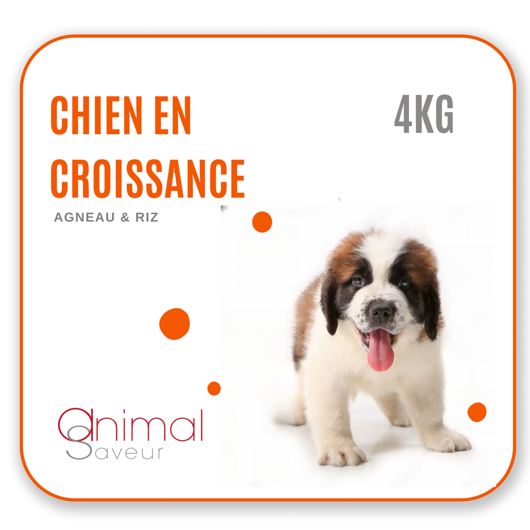 Croquettes Vétérinaires - Chien en Croissance 4 kg- Agneau / Riz