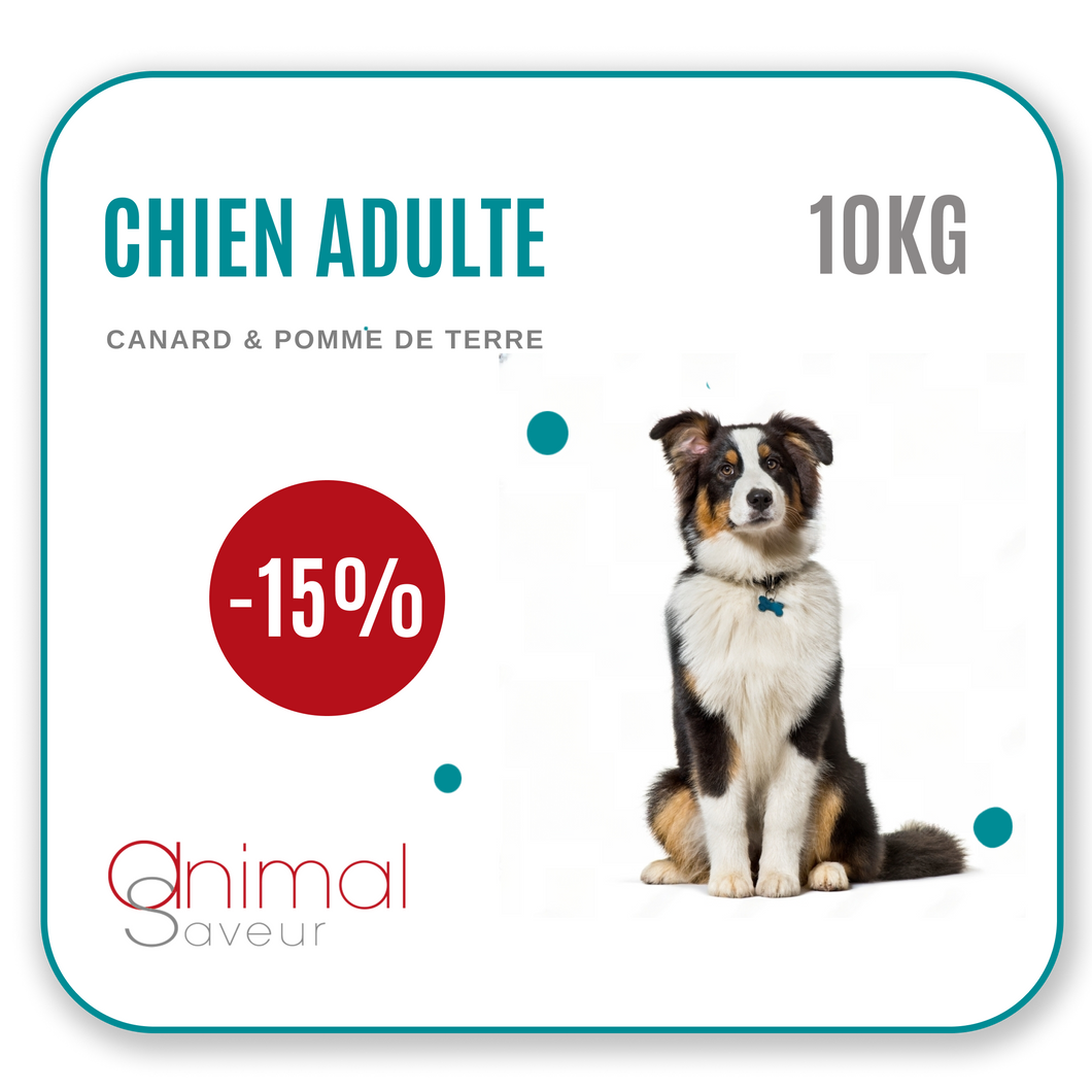 Croquettes vétérinaires - Chien Adulte 10 kg - Canard / Pommes de Terre