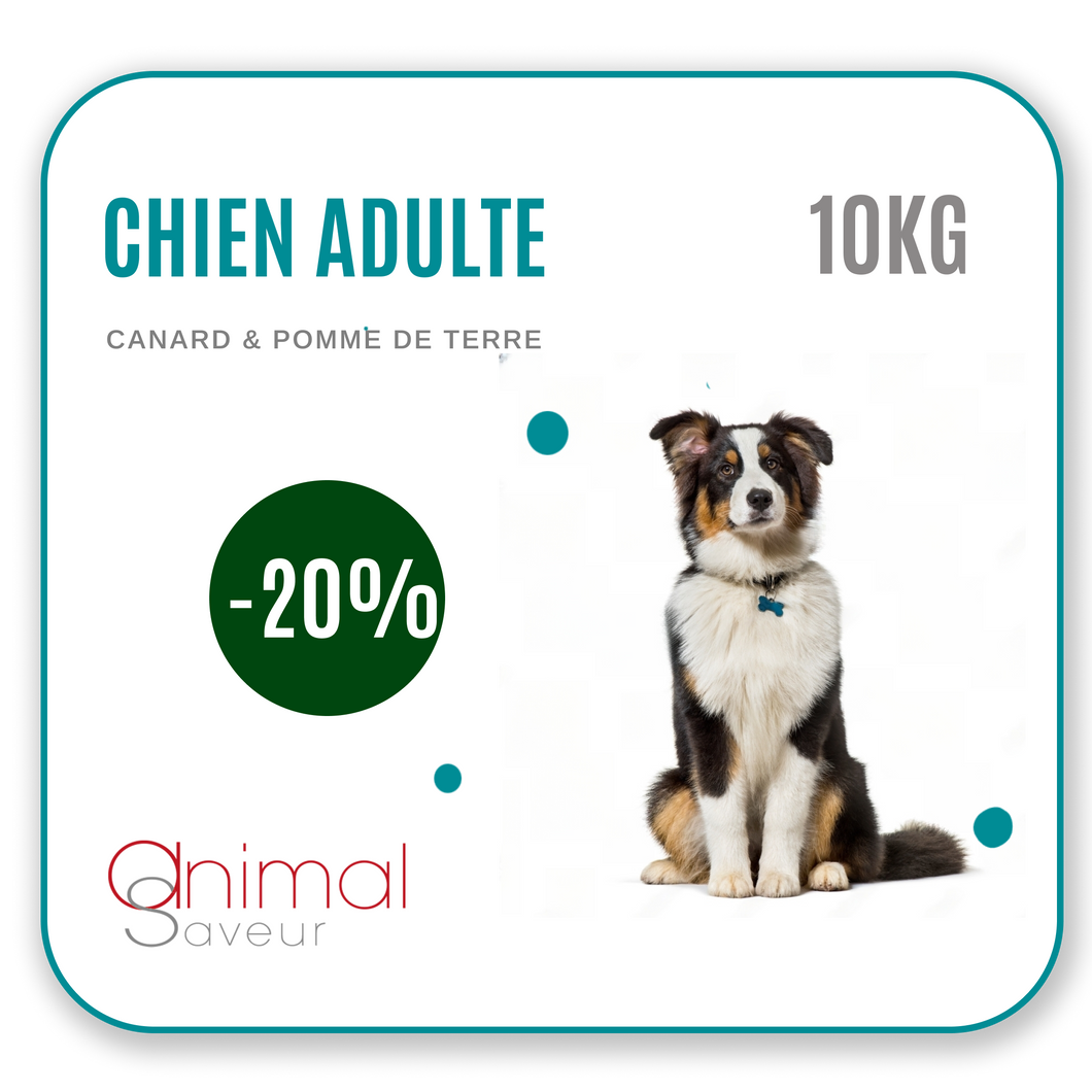 Dierenarts Brokken - Volwassen hond 10 kg - Eend / Aardappel