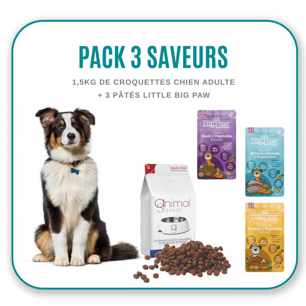 Pack 3 Saveurs - Chien