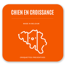 Charger l&#39;image dans la galerie, Croquettes Vétérinaires - Chien en Croissance 4 kg- Agneau / Riz
