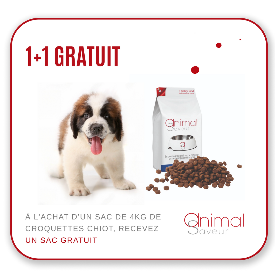 Dierenarts Brokken - Opgroeiende hond 4 kg - Lam / Rijst