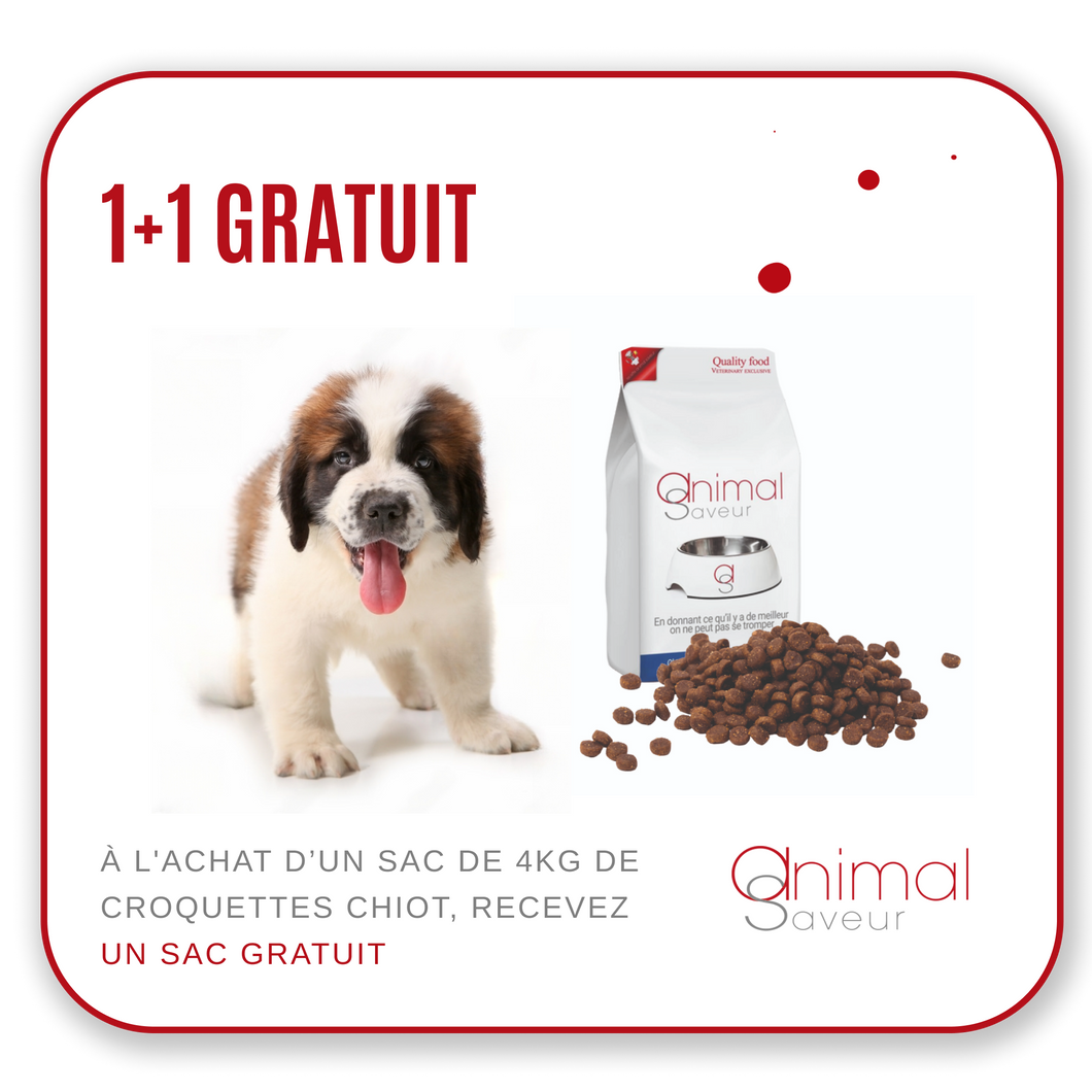 Promo 1+1 gratuit | Croquettes Vétérinaires - Chiot 4 kg- Agneau / Riz