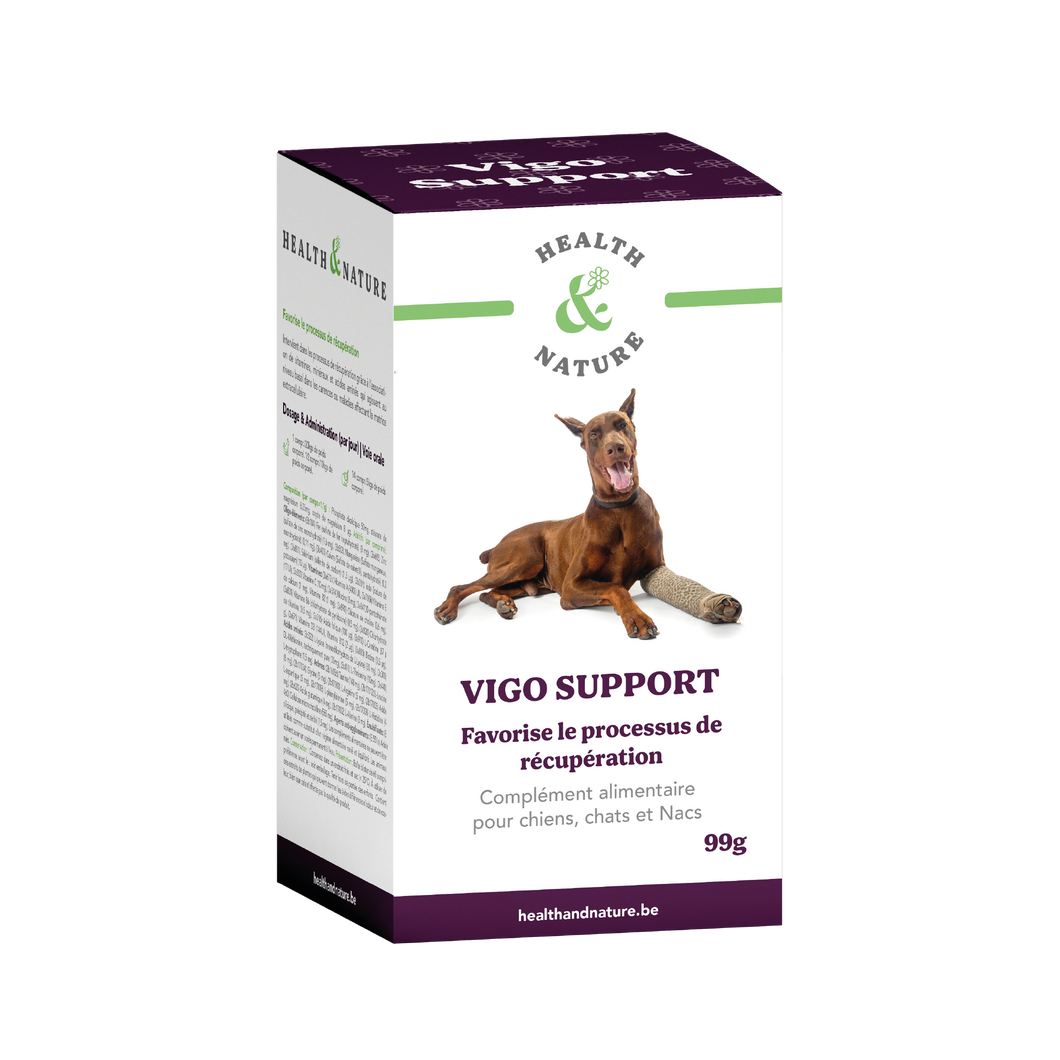Vigo Support - 60 comprimés