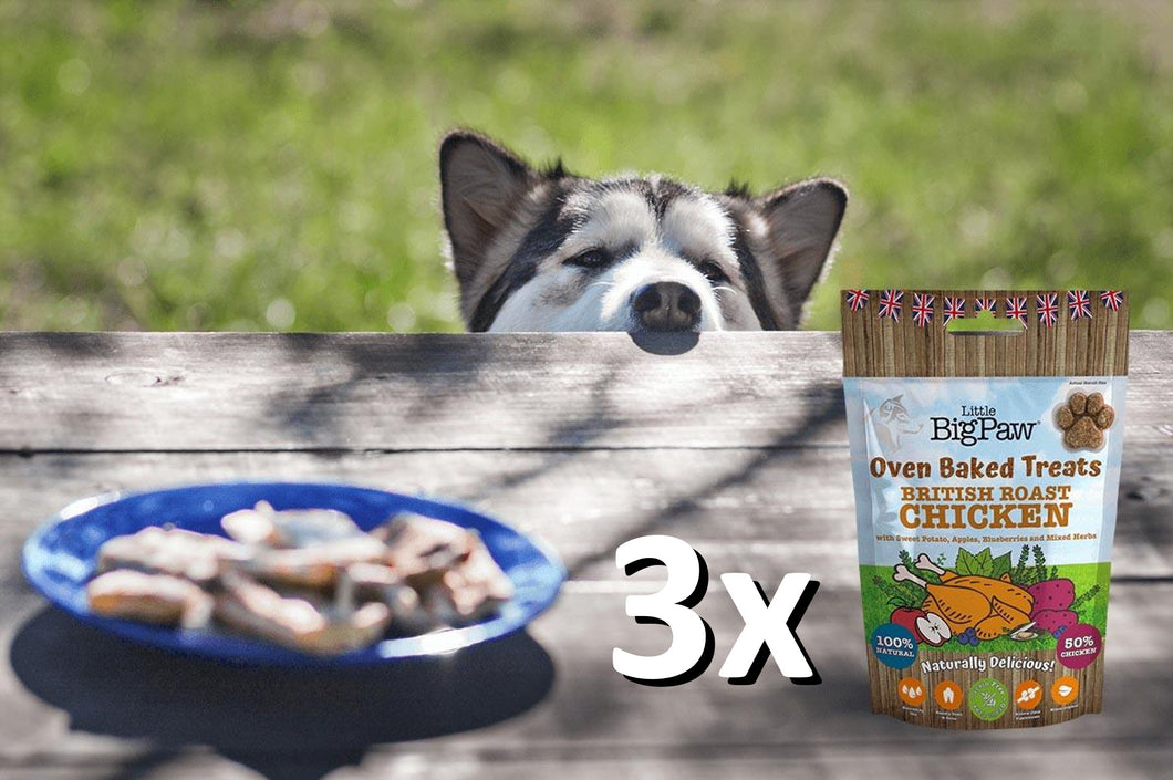 3 Packs Hondenkoekjes Kip 130g