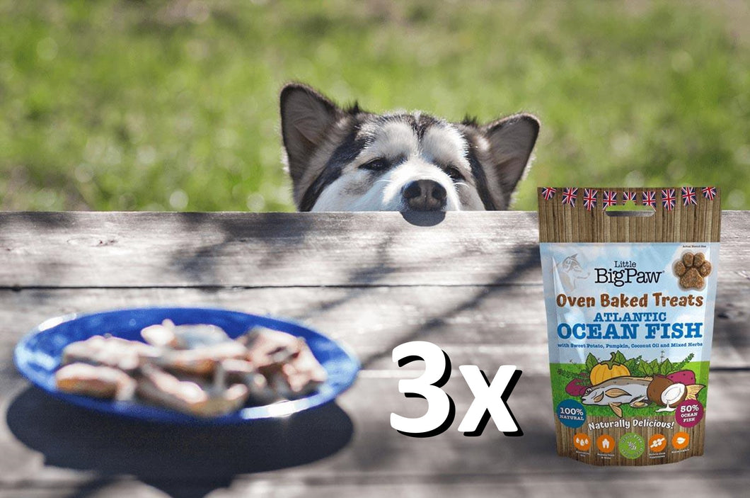 3 Packs Hondenkoekjes Vis 130g
