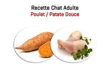 Charger l&#39;image dans la galerie, Duo Croquettes &amp; Mousses - Chat Adulte 4 kg - Saveur Saumon
