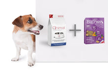 Afbeelding in Gallery-weergave laden, Duo Brokken &amp; Mousse - Volwassen hond 10 kg - Eend smaak
