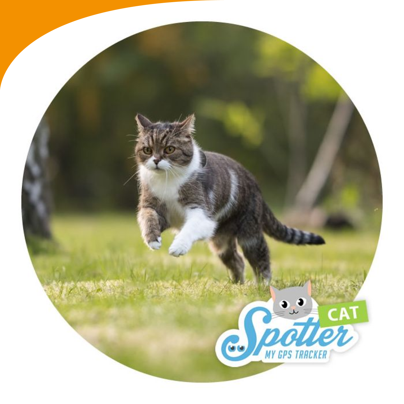 Traceur GPS pour Chat – Animal Saveur