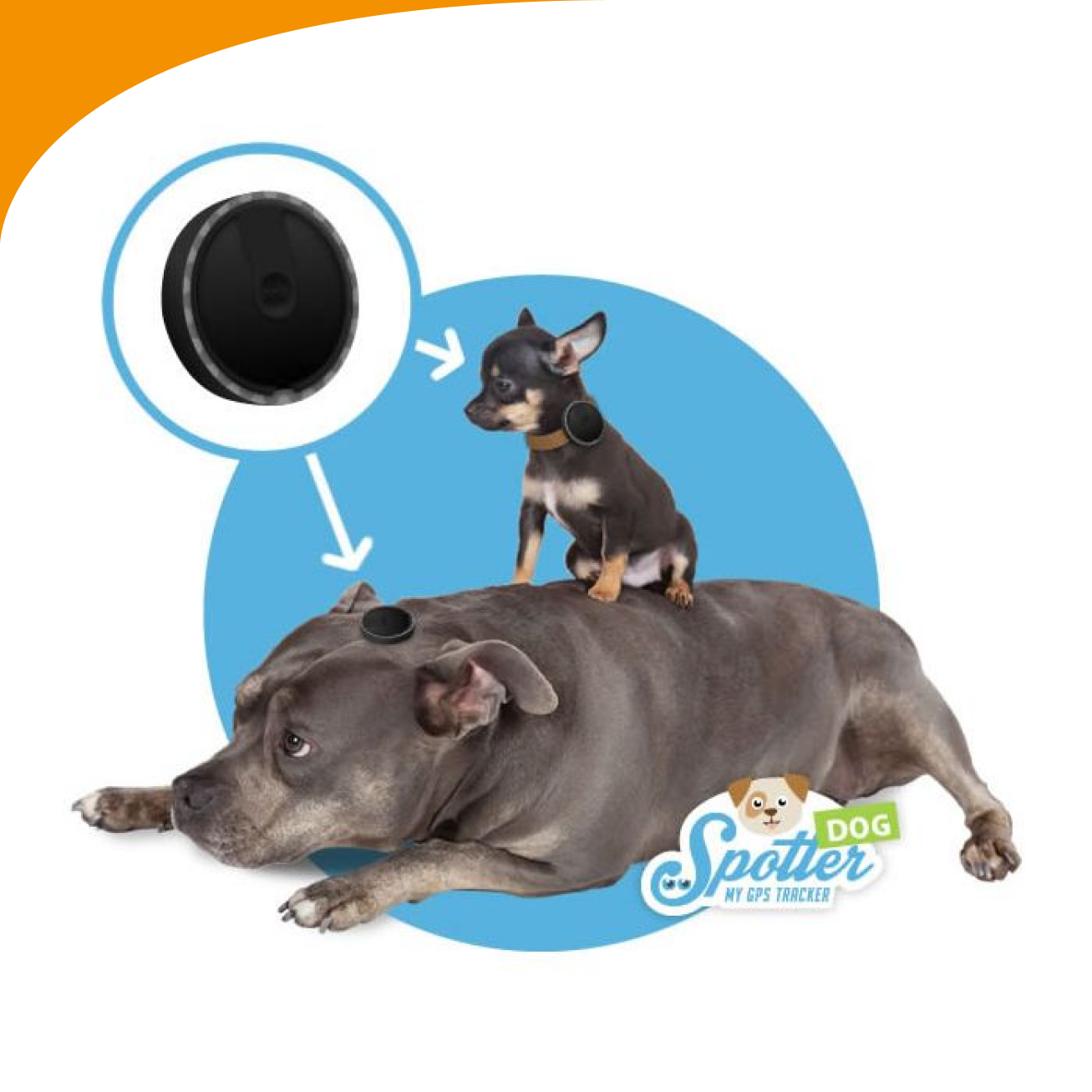 Traceur GPS pour Chien – Animal Saveur