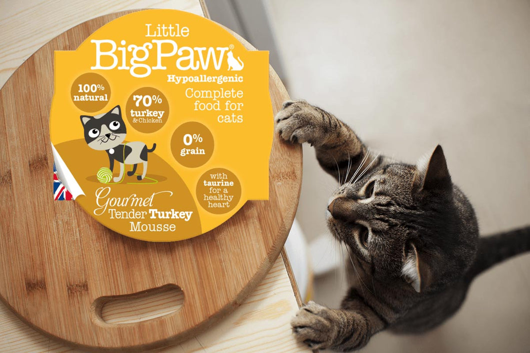 Little Big Paw Chat 85g Dinde