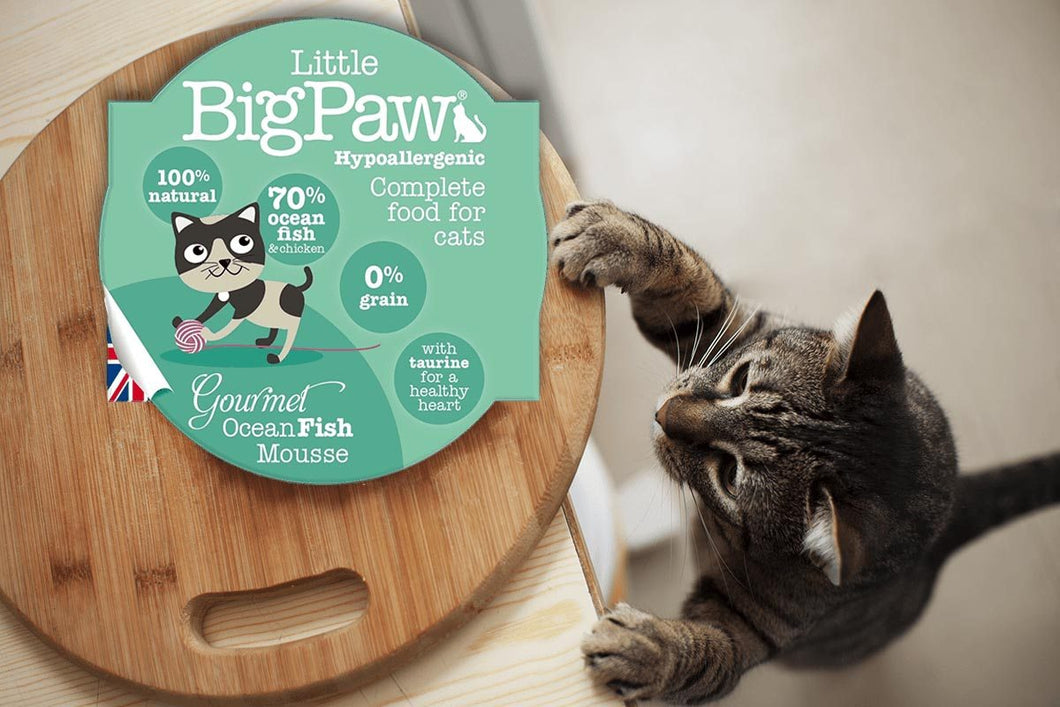 Little Big Paw Chat 85g Poissons