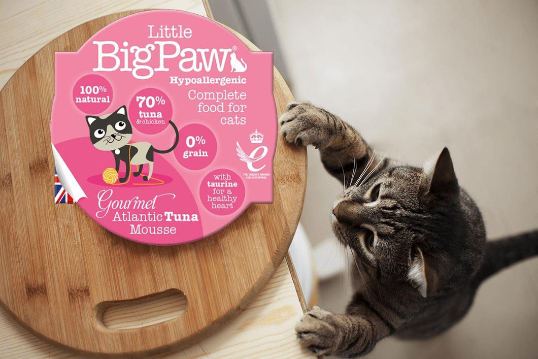 Little Big Paw Chat 85g Thon