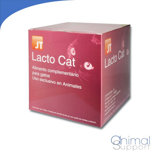 Felilacto Support 200gr - Kat