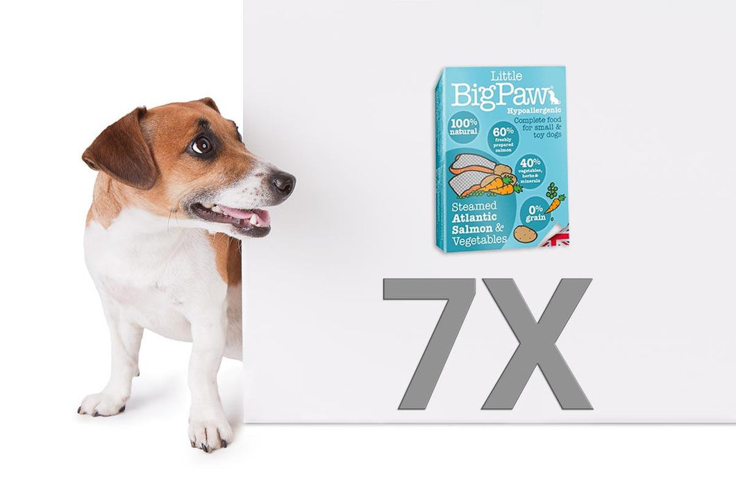 Pack 7 Mousses Little Big Paw Chien - Saveur Saumon