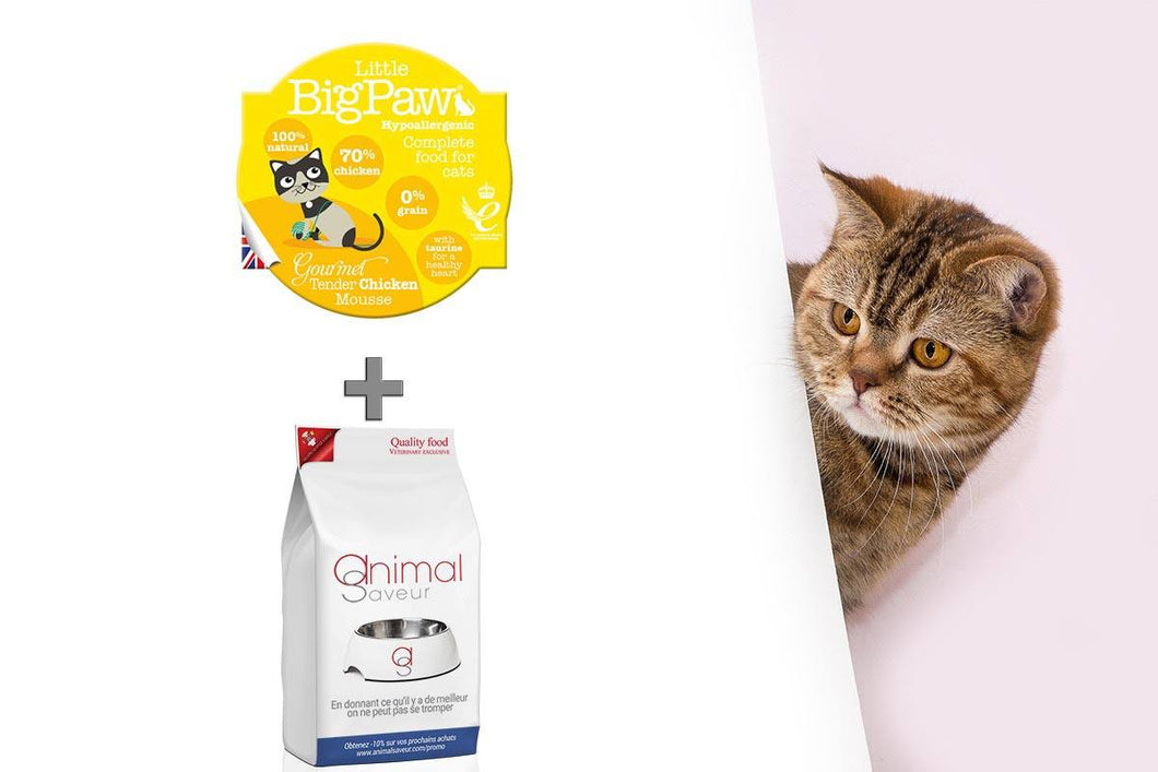 Duo Brokken & Mousse - Volwassen kat 4 kg - Kip smaak