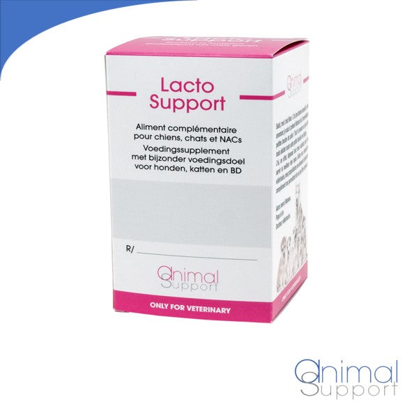 Lacto Support 60 tabletten