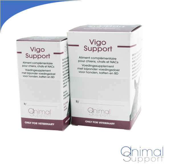 Vigo Support 60 tabletten