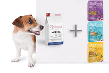 Afbeelding in Gallery-weergave laden, Duo Brokken &amp; Mousse - Volwassen hond 10 kg - Triple smaak

